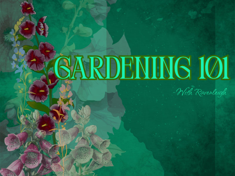 Gardening 101